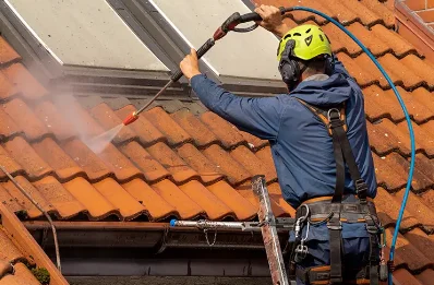 Démoussage et hydrofuge de toiture à Bresse